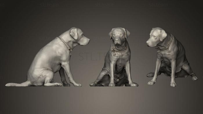 3D model DOG A (STL)